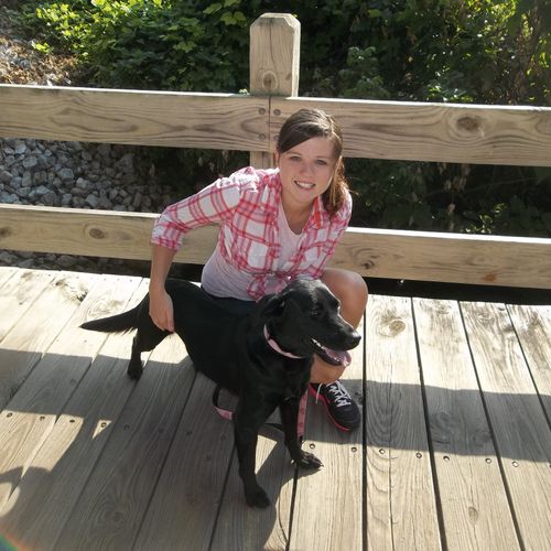 Lily, a small black lab, was adopted in the fall o