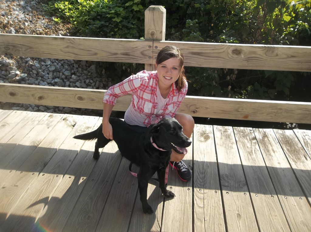 Lily, a small black lab, was adopted in the fall o