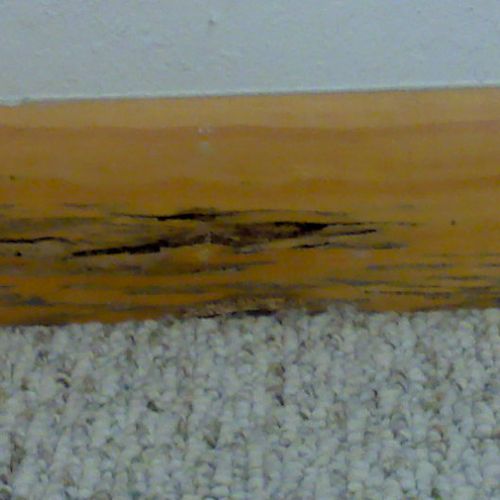 Termite damage on second floor of home