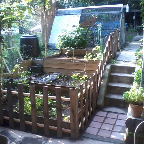 3 tier garden, reclaimed wooden fence, and chicken