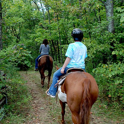 Riding the Trails of Silver Creek Stables.