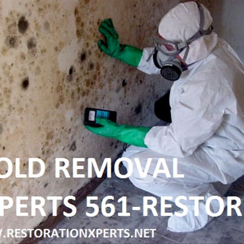 www.restorationxperts.net, mold removal, actively 