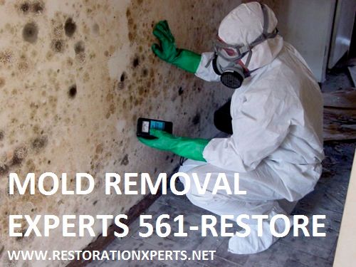 www.restorationxperts.net, mold removal, actively 