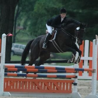 Jump 4 it Equestrian