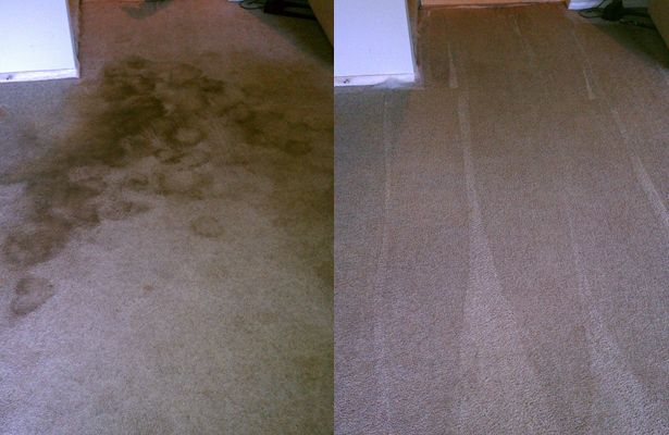 Proven Carpet Cleaning