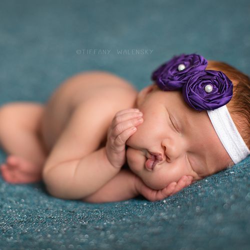 Tampa Newborn Photographer, Tiffany Walensky Photo