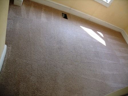carpet cleaning after