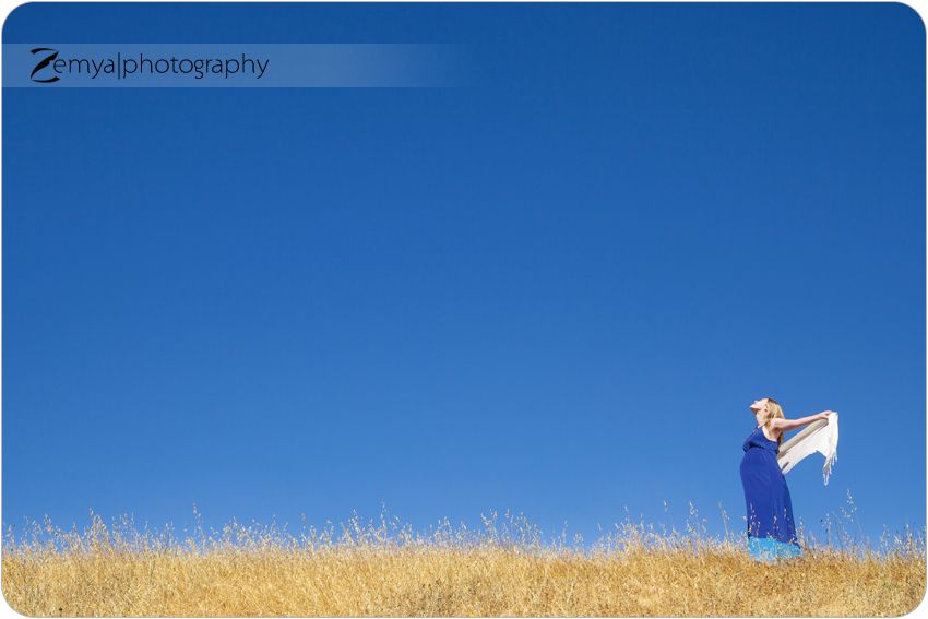 Belmont maternity photography