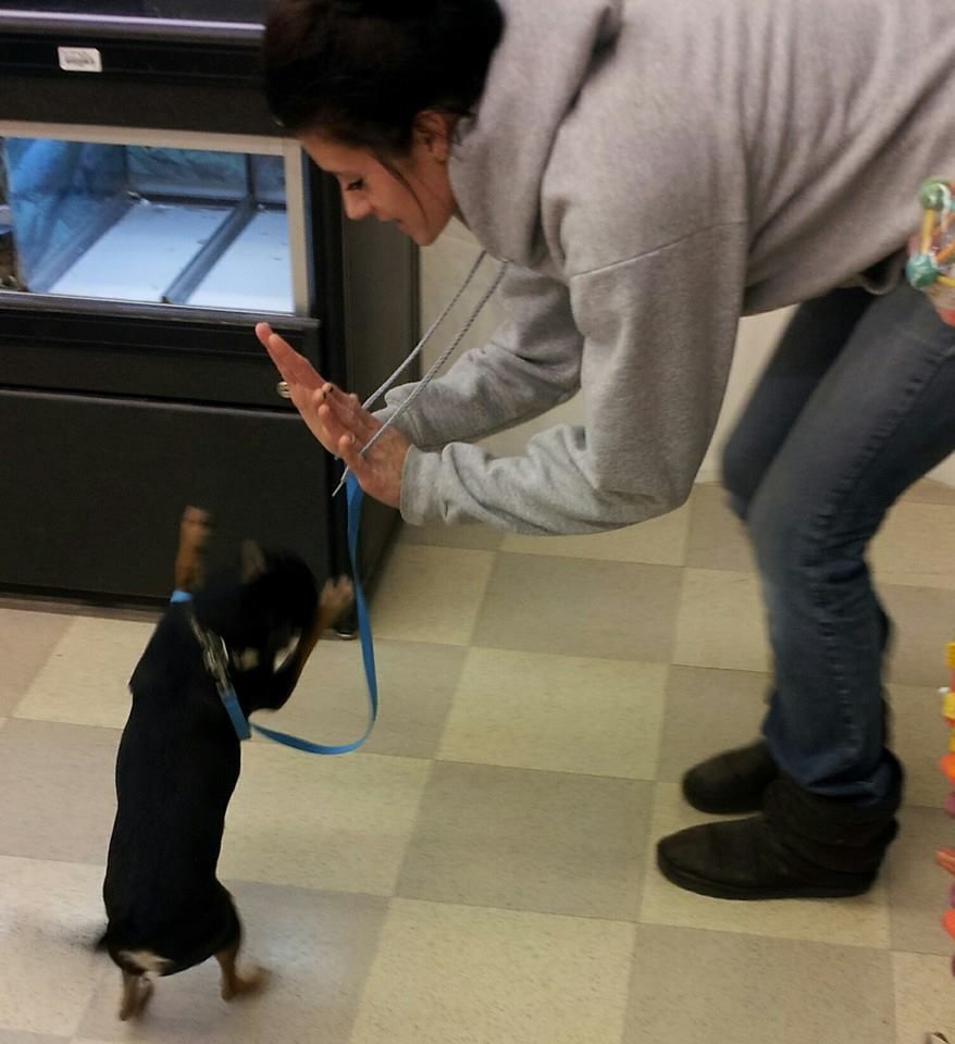 My dear friend "Hank" - hi5!