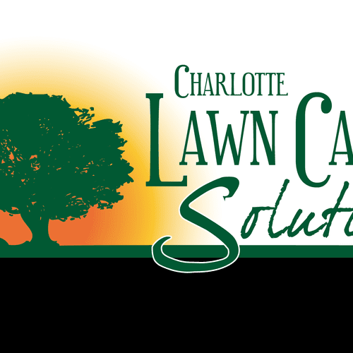 Branding and brand management for Charlotte Lawn C