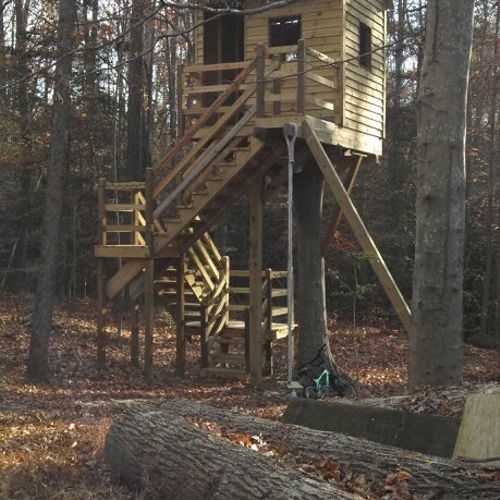 Tree house for my grandkids