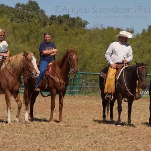 Tom Davis Horsemanship www.ColtTrainer.com