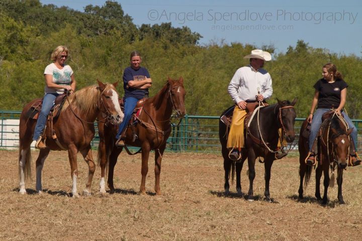 Tom Davis Horsemanship www.ColtTrainer.com