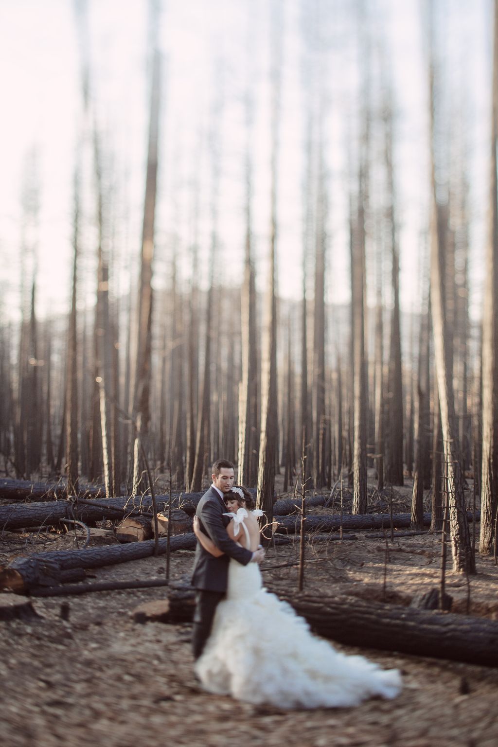 Yosemite Wedding Portrait