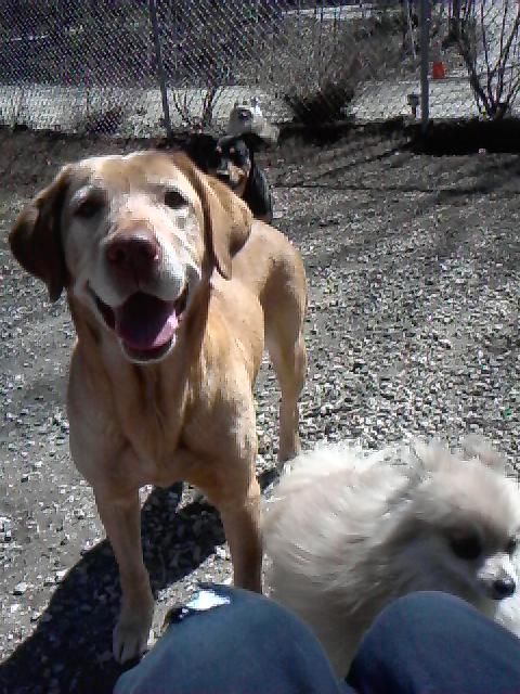 Play time!
