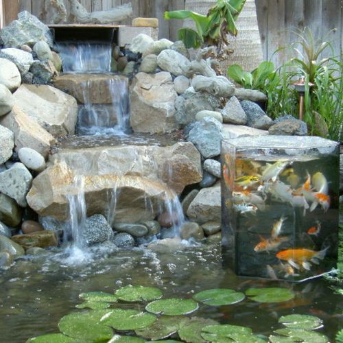 custom koi fish ponds