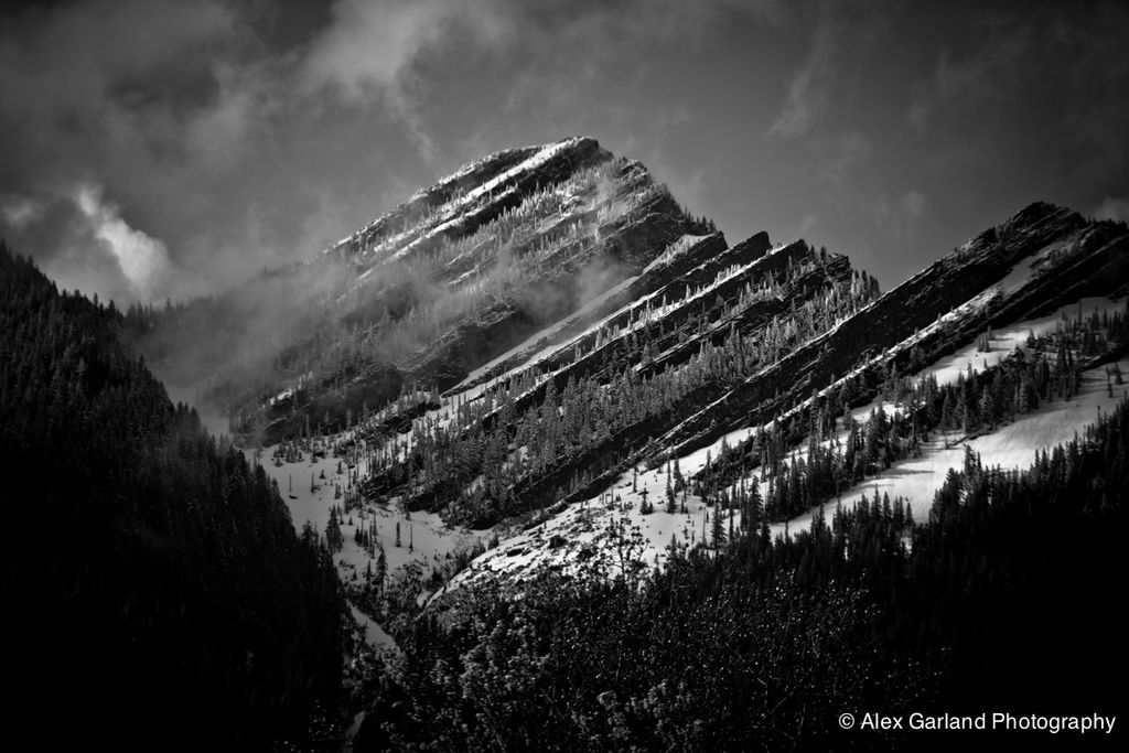 Layers - Snow covered pines on an unknown mountain