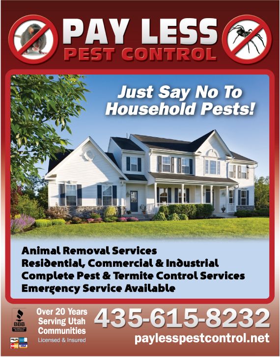 Pay Less Pest Control