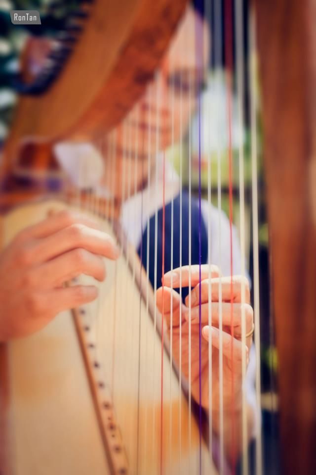 Rev. Rick playing harp at the West Davis Greenbelt