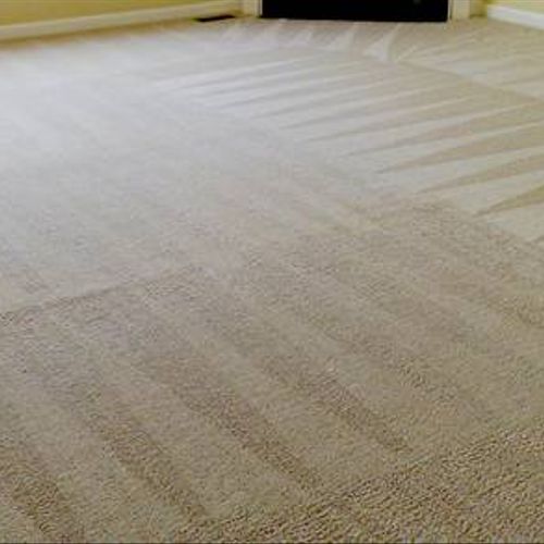 Carpet after cleaning