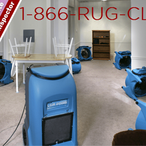 Carpet cleaning is a science. Our technicians are 