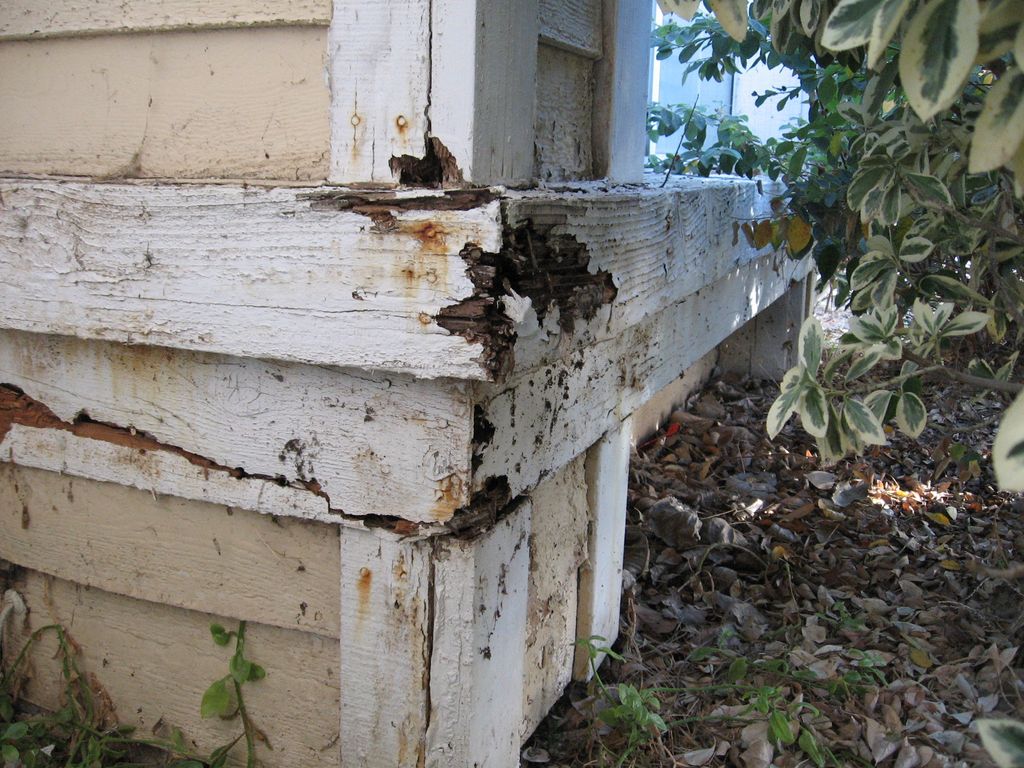 Dryrot or wood damage at exterior wood trim.