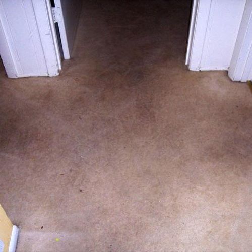 Trashed Carpet Before Roto-Tec Cleaning