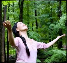 Qigong with the trees