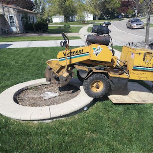 Removing a tree stump to instal a flower bed