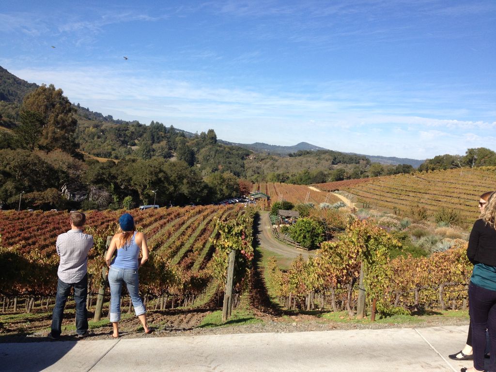 The lovely (and biodynamic) vineyards of Benziger 