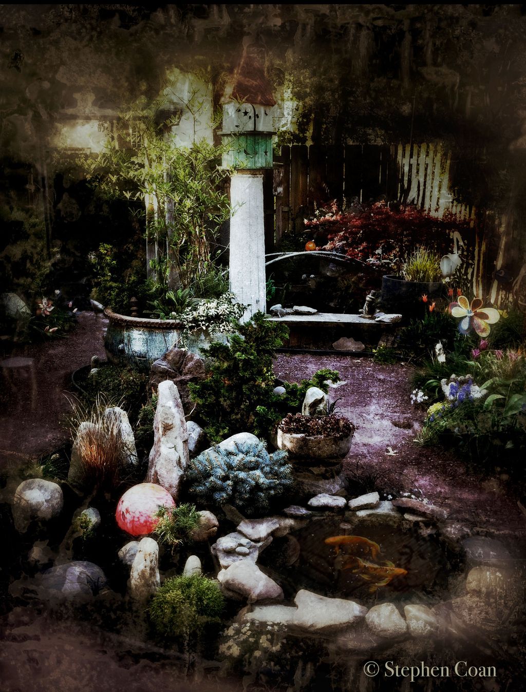 An installed miniature and dwarf conifer garden wi