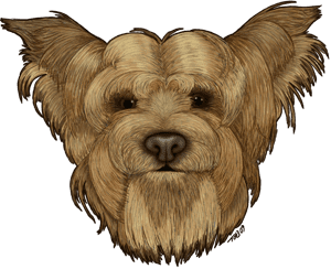 Cairn terrier - copyright - for sale on Cafe Press