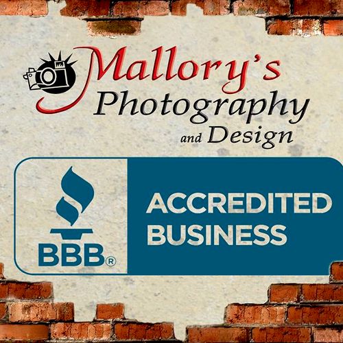 Mallory's Photography and Design
Accredited Member