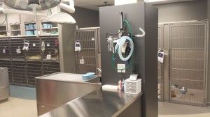 Fabricated Medical Equipment