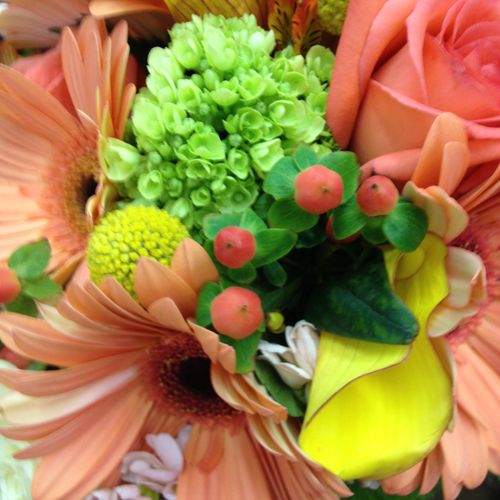 Vibrant colors and beautiful blooms from the Engli