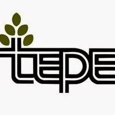 Tepe Landscaping