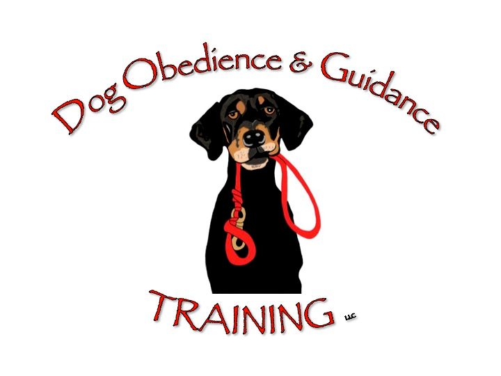 Dog Obedience & Guidance Training LLC
