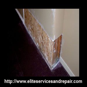 fort myers drywall water damage