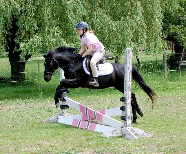 Our ponies are the best!