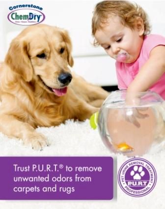 PURT - Pet Urine Removal treatment that works!