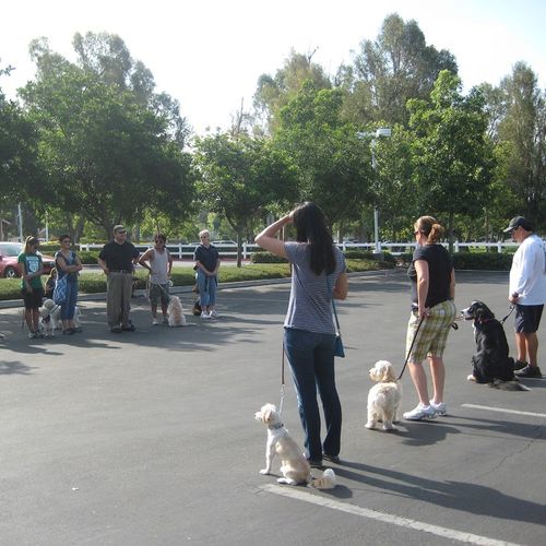 Our Saturday morning group Obedience Class in Yorb