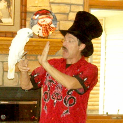 Thurston the Performing Parrot