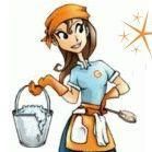 Gigi's Cleaning Services and More