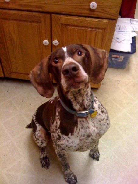 Duke
