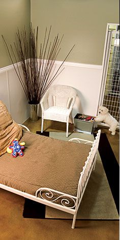Suite at K9s Only Tarzana