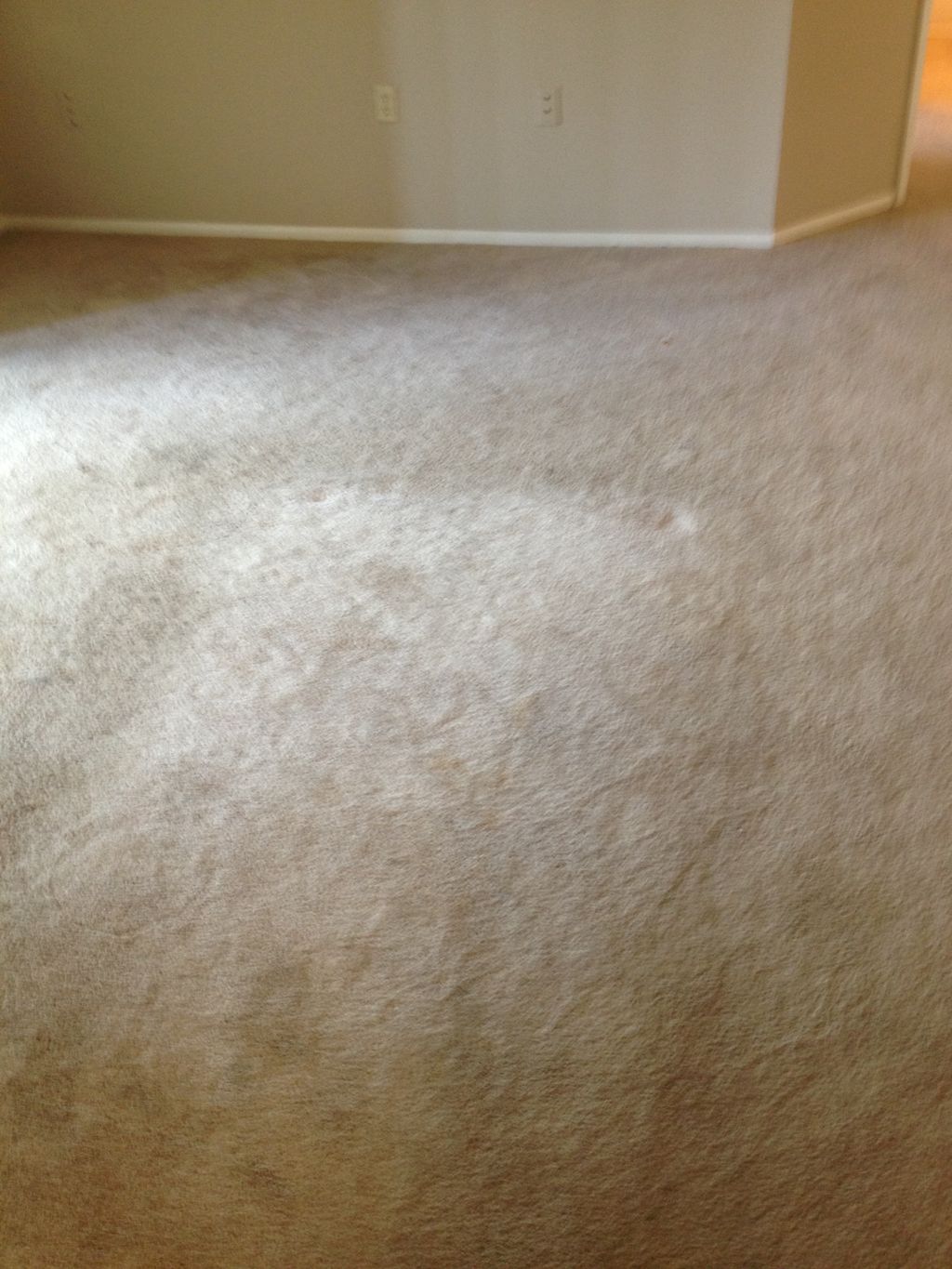 Before:  Not hard to tell where the couch sat