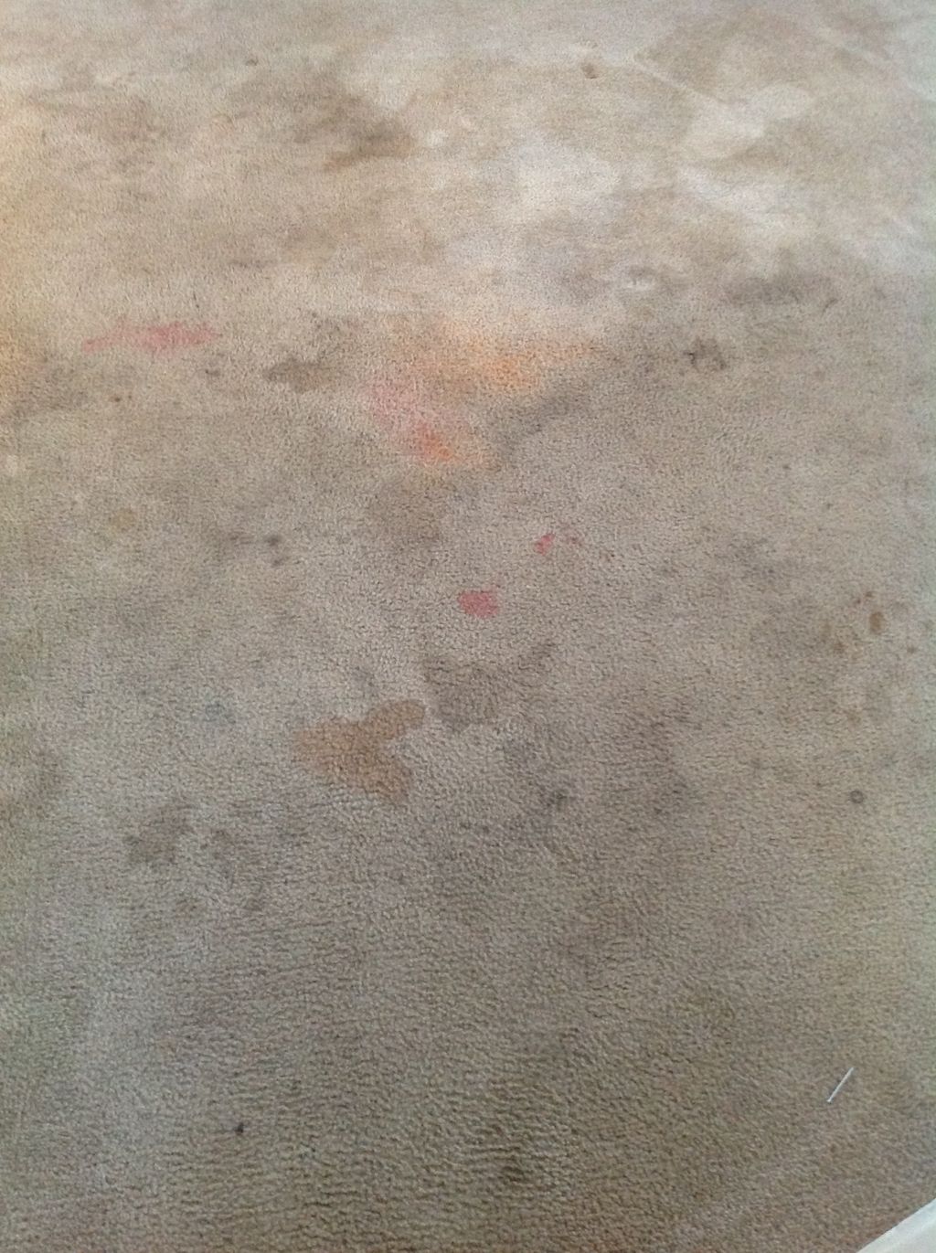 Before:  Got stains?  Red stains, pet stains, grea