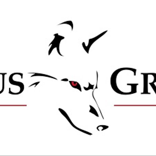Lycurgus Group, LLC