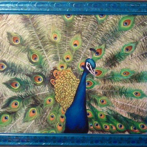 peacock in oil 30" x  42"
frame acrylic and airbru