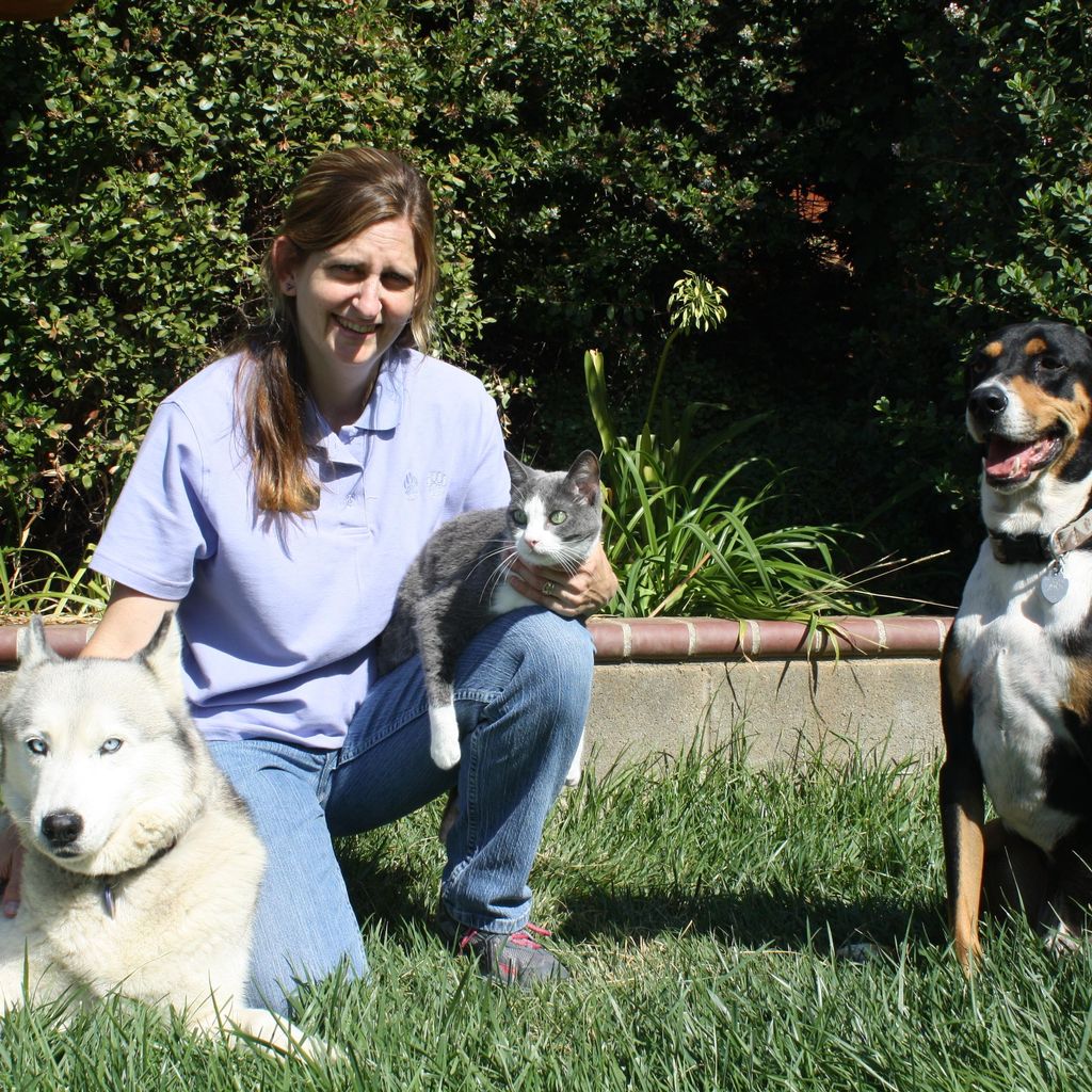 Dixie's Critter Care & Dog Training